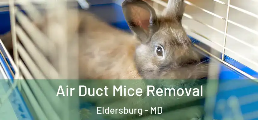  Air Duct Mice Removal Eldersburg - MD