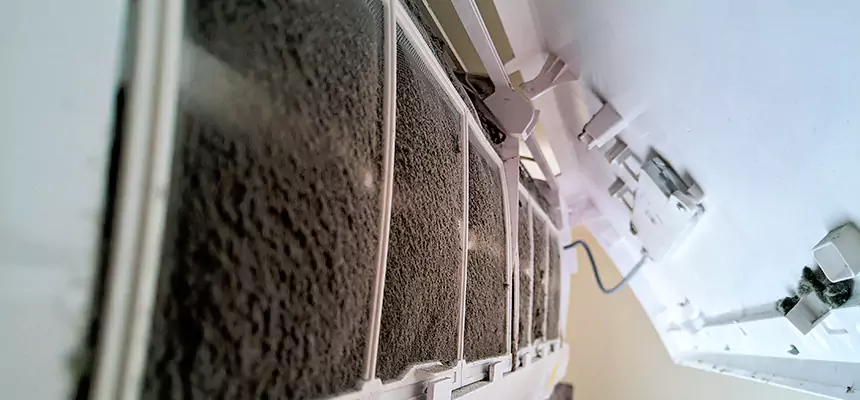 Preventive Air Duct Bacteria Removal in Eldersburg