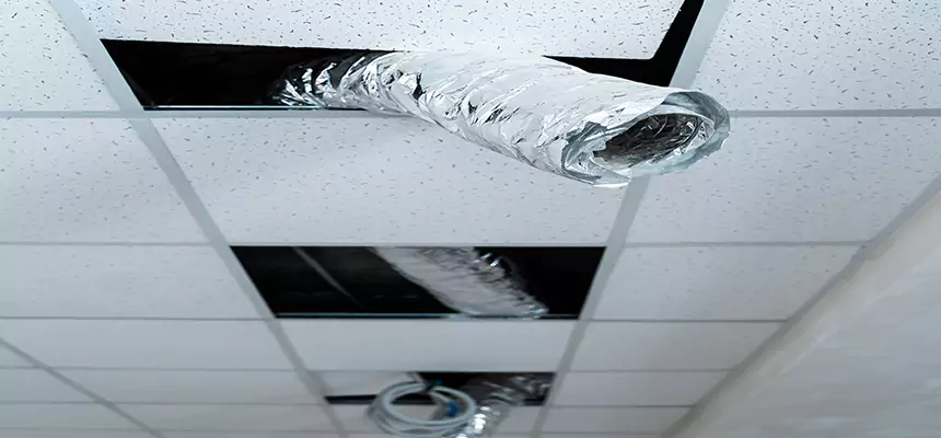 Affordable HVAC Sanitizing After Pest Removal in Eldersburg