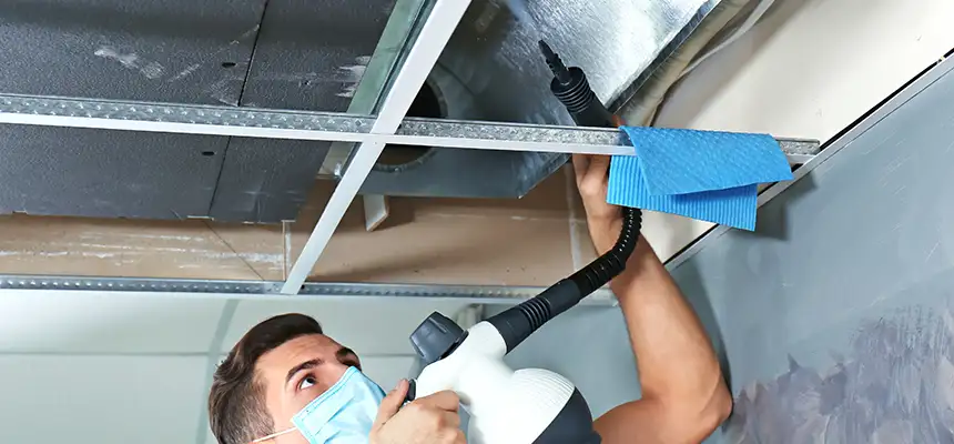 Our Air Duct Rodent Removal Services in Eldersburg, MD