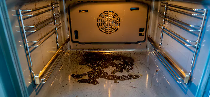 Our Dryer Vent Mold Cleaning Services in Eldersburg, MD