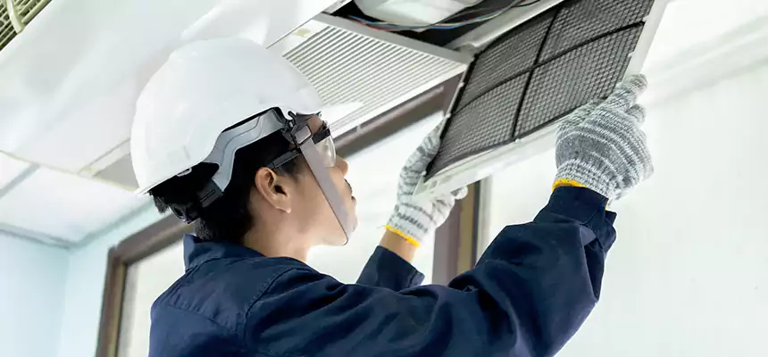 Our Mold & Mildew Removal from Air Ducts Services in Eldersburg, MD