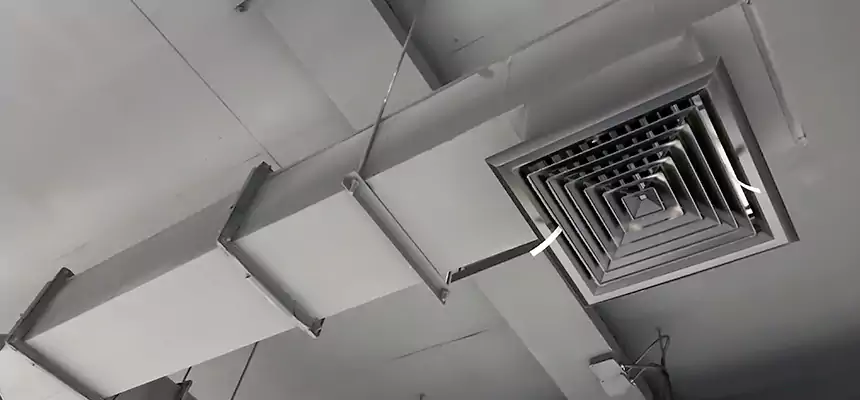 Our Rodent Droppings In Vents Services in Eldersburg, MD