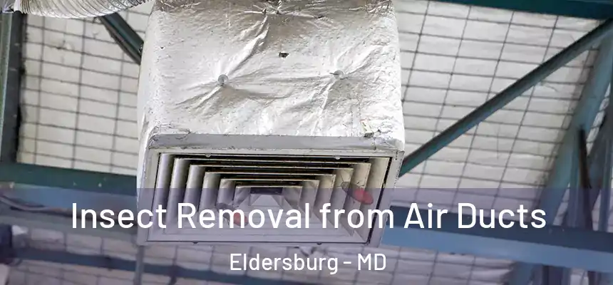 Insect Removal from Air Ducts Eldersburg - MD
