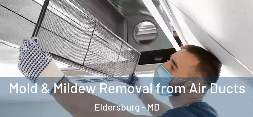  Mold & Mildew Removal from Air Ducts Eldersburg - MD