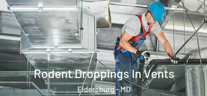  Rodent Droppings In Vents Eldersburg - MD
