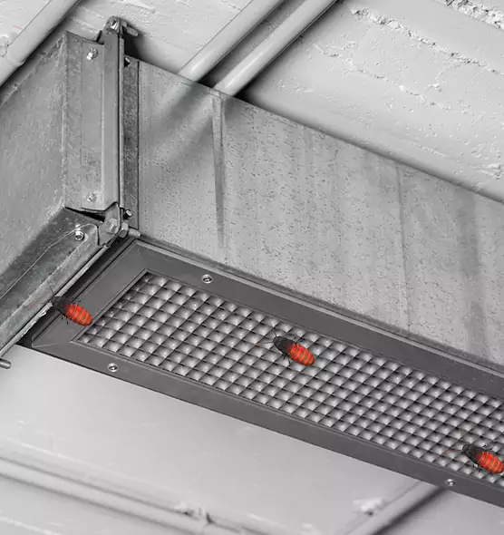 About Air Duct Cockroach Removal in Eldersburg, MD