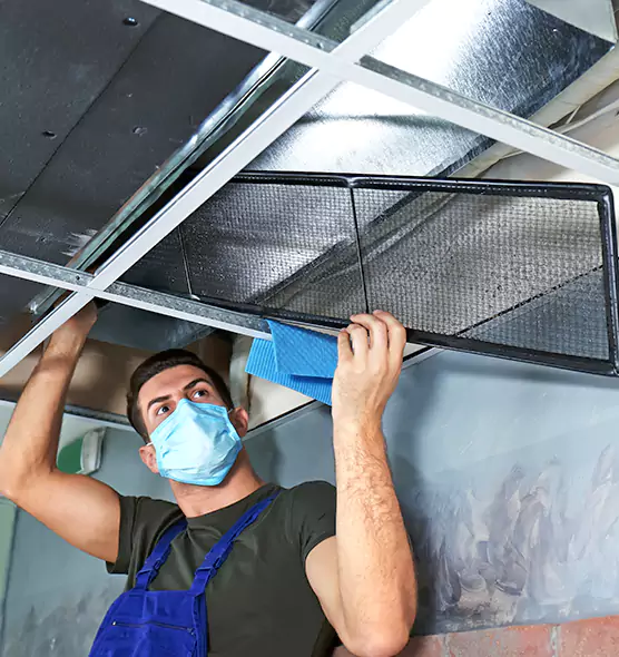 Professional Air Duct Pollen Cleaning in Eldersburg, MD