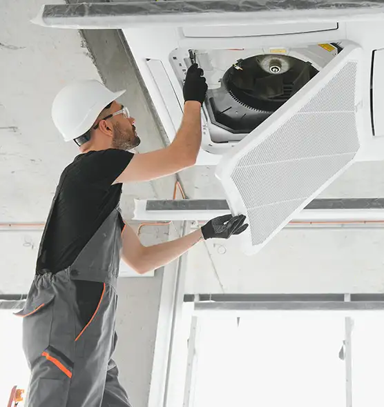 About Air Duct Rodent Removal in Eldersburg, MD