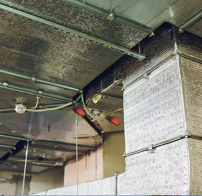 Why Homeowners & Businesses Trust Us in Eldersburg, MD?