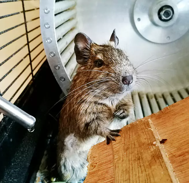 Why Homeowners & Businesses Trust Us Eldersburg, MD