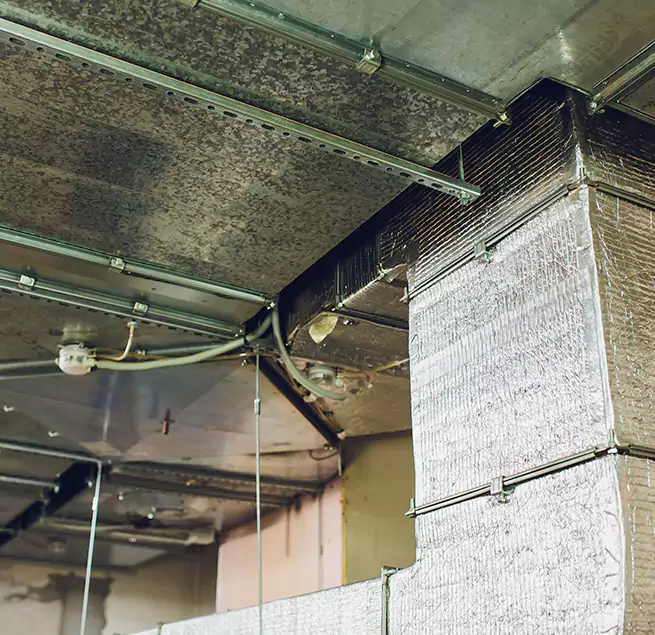 Why Homeowners & Businesses Trust Us in Eldersburg, MD?